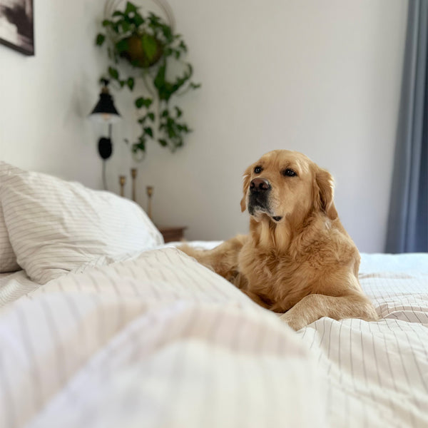 Nous prenons au sérieux une bonne nuit de sommeil.